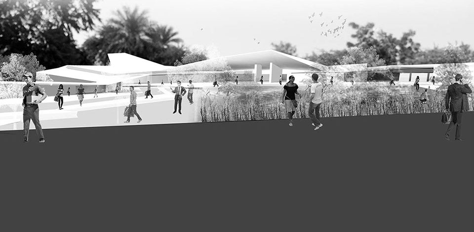 nelson_figure 10-crop-u101378