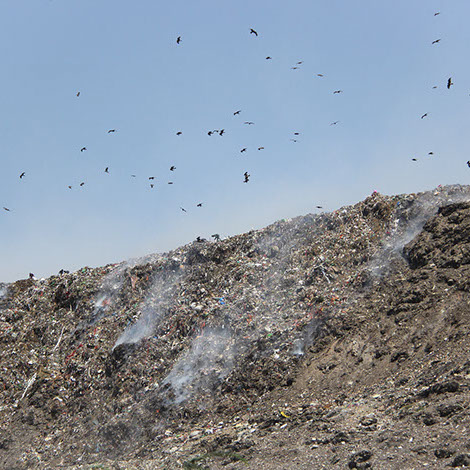 Delhi’s Urban Dilemma: Waste