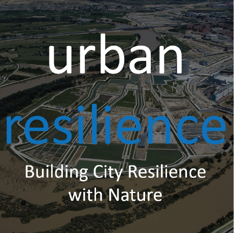 urban resilience