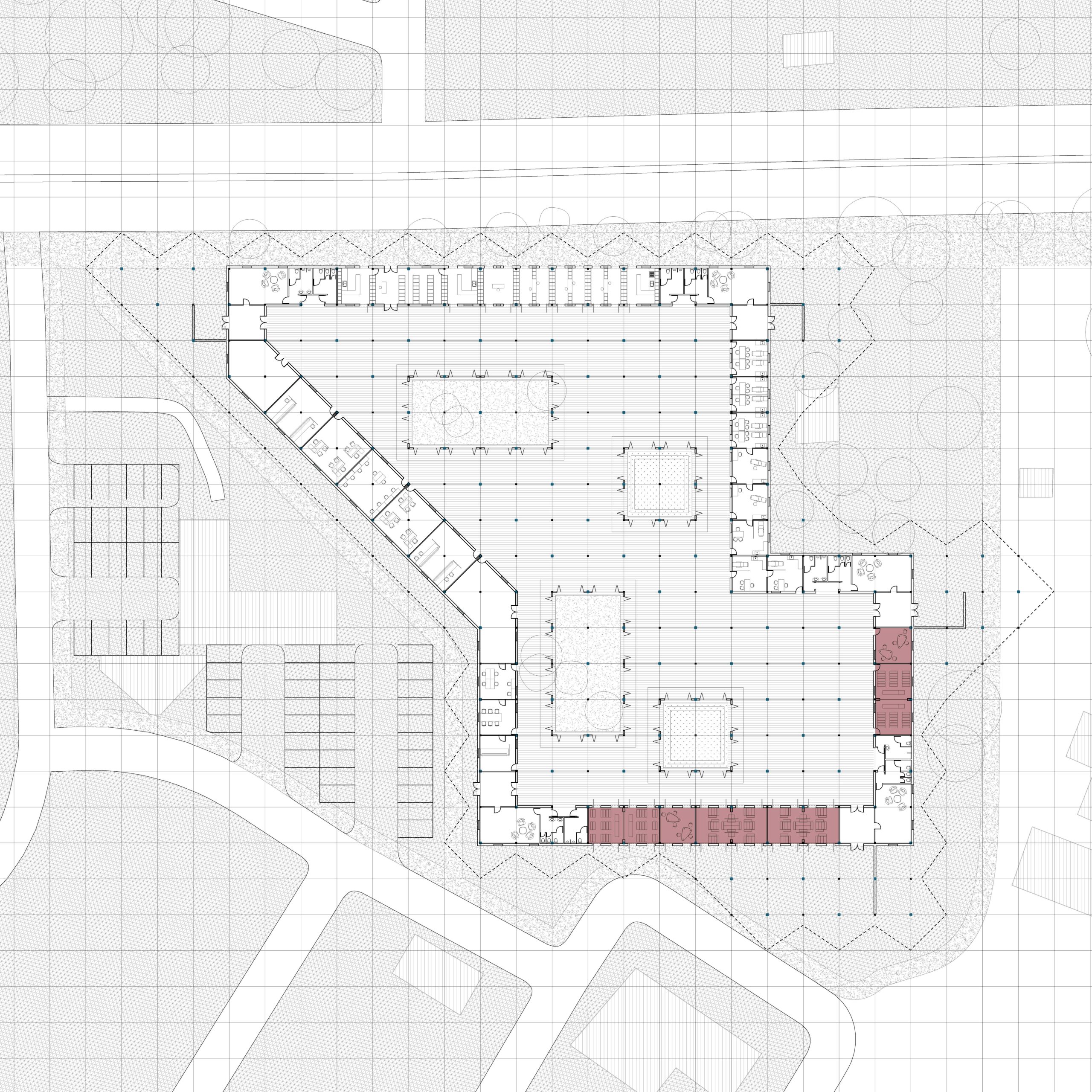 school (1)