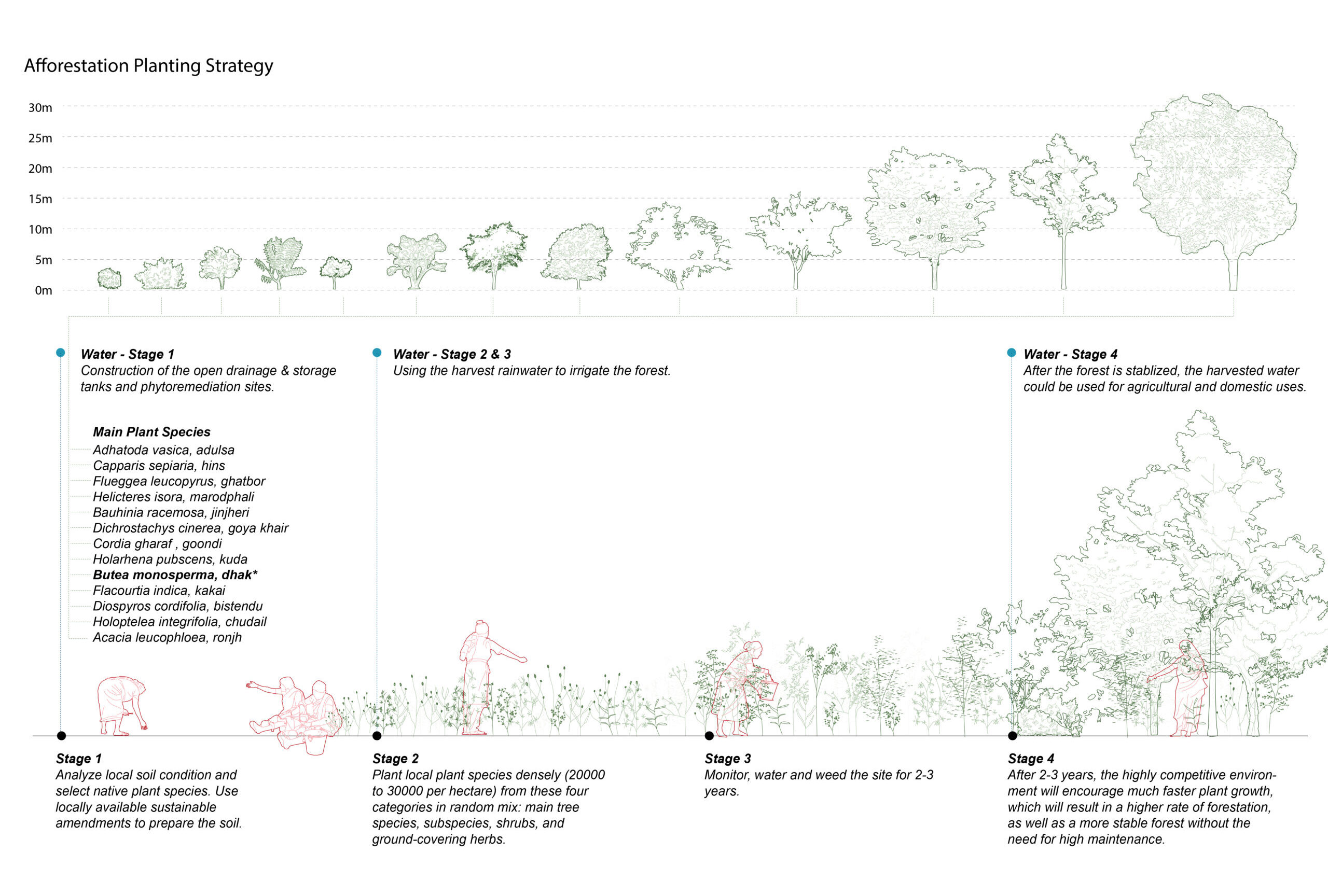 Landscape Strategy Diagram_Afforestation Strategy