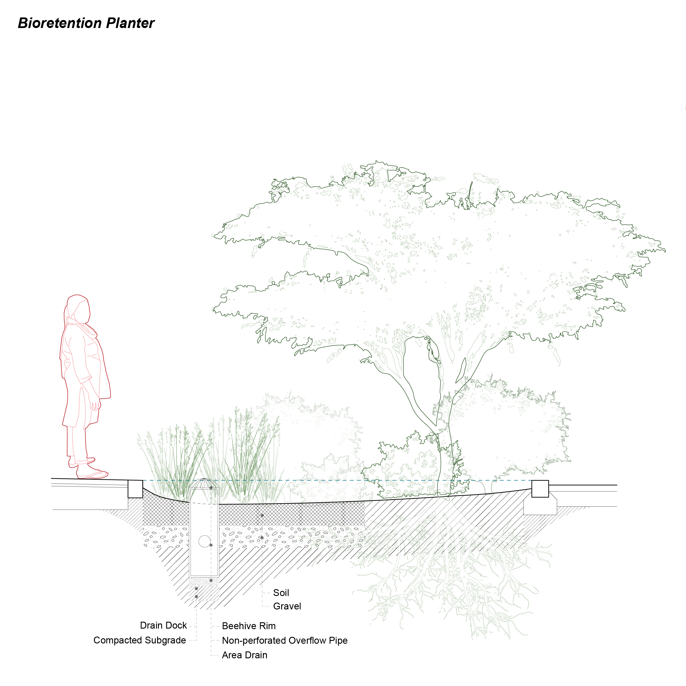 Landscape Strategy Diagram_Biorentention Planter
